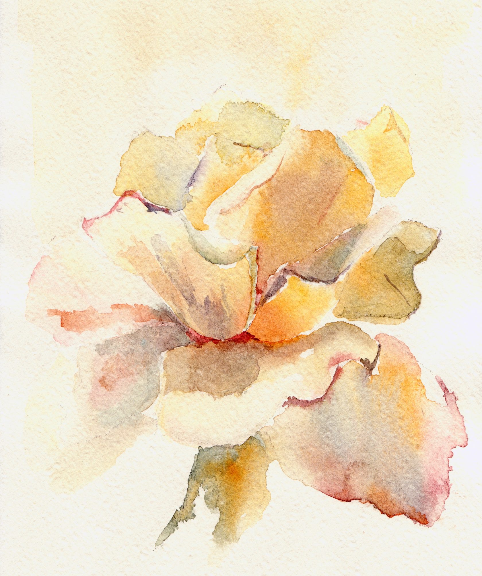 Лимитки Petals of pale rose Acidica perfumes открытка акварели Елена Пильгун