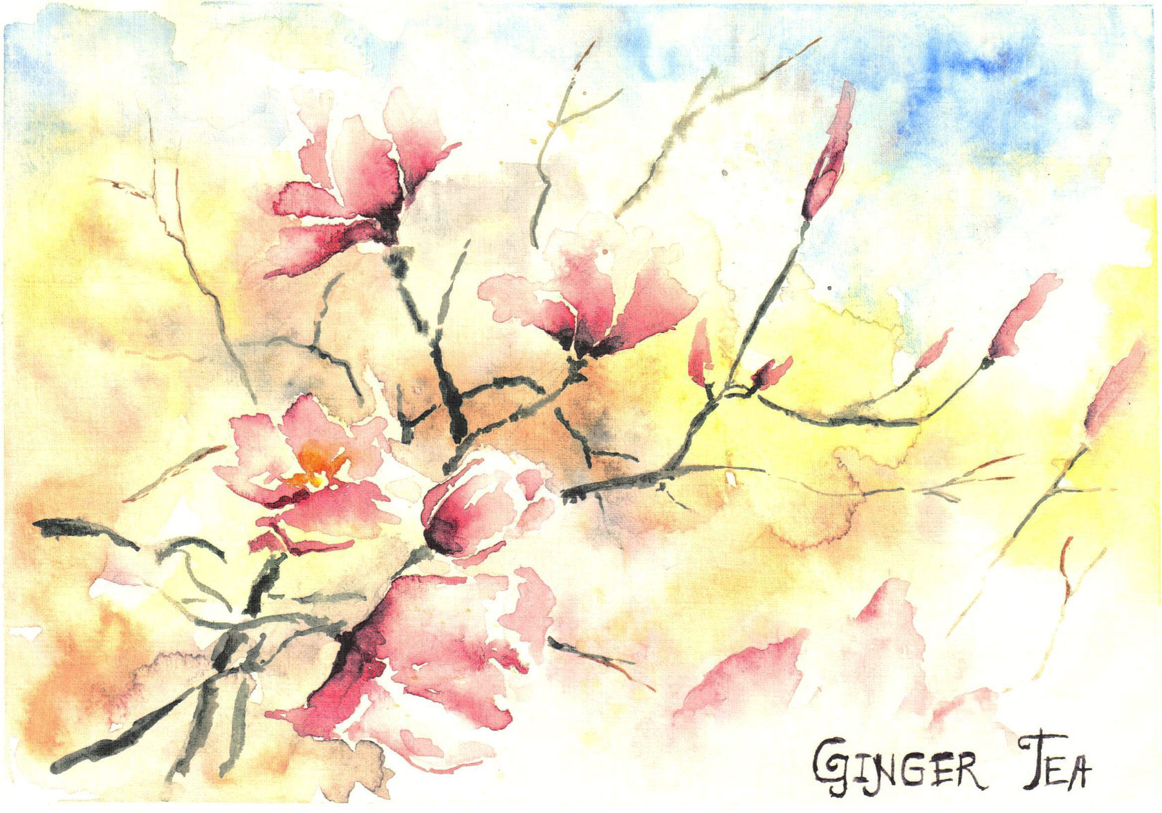 Ginger tea Acidica perfumes имбирный чай акварели Елена Пильгун